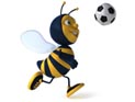 Пчелиный рой прервал футбольный матч в Претории