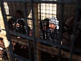 Нападение боевиков на тюремный конвой в Ираке: не менее 60 убитых  