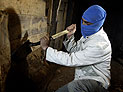 СМИ: ХАМАС уничтожает строителей туннелей, чтобы избежать разглашения секретных сведений