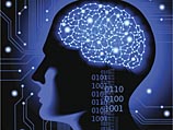 Американские ученые на пороге создания "кибер-мозга"