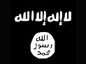 Арабское "ведро ледяной воды": "сожги флаг ИГИЛ"