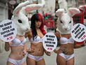 Активистки PETA с кроличьими головами устроили стриптиз в Лондоне. ФОТО