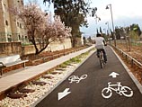 Минтранс разработал программу по повышению безопасности велосипедистов на дорогах