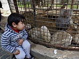 В зоопарке сектора Газы. Апрель 2012 года