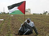 Палестинская автономия 