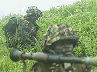 Террористы "Боко Харам" освободили 27 человек в Камеруне