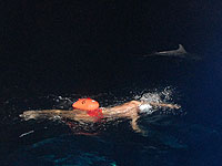 Во время заплыва от Кипра до Израиля