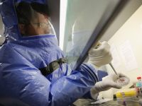 ВОЗ: число новых случаев заражения вирусом Эболы может дойти до 10 тысяч в неделю
