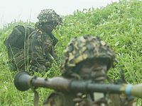  Минобороны Камеруна сообщило об уничтожении 107 боевиков "Боко Харам"