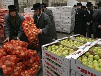 Турецкая судоходная компания будет доставлять фрукты из Израиля в Новороссийск