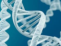 Ученые расшифровали ДНК самого древнего человека
