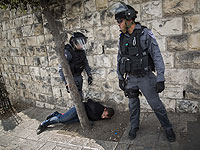 Правительство утвердило закон Ливни: камнеметателям грозит 20 лет тюрьмы