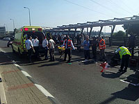 На месте происшествия. 10 ноября 2014 года