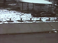 Опубликовано видео с места происшествия в Кливленде, где полицейским был застрелен подросток