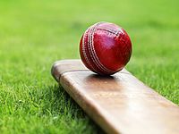 Арбитр получил смертельную травму крикетным мячом