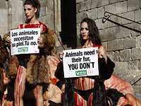 Обнаженные и "окровавленные" защитники прав животных устроили акцию в Барселоне