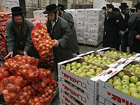 Российский кризис негативно влияет на израильское сельское хозяйство