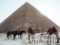 Египетским властям не понравилось, что в фильме евреи строят пирамиды