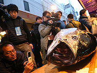 Рыбный рынок Цукидзи в Токио. 5 января 2015 года