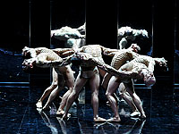 "Magifigue" ("Великолепие") &#8211; это самые известные балеты Чайковского, поэтическую атмосферу которых Маланден сохранил при помощи воображения и 18 танцоров труппы "Балет Биарриц"