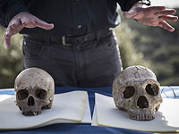 На севере Израиля обнаружен древнейший череп человека