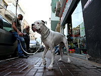 Мэрия Тель-Авива подняла размер штрафа для нерадивых владельцев собак до 750 шек