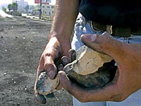 В Негеве неизвестные забросали камнями пассажирский автобус