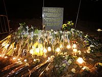  В катастрофе Germanwings погибли два иранских журналиста