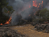 МЧС: жертвами лесных пожаров в Хакасии стали 25 человек