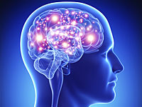 Ученые: гражданская активность может предотвратить атрофию мозга  