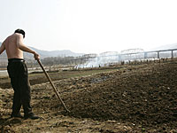 КНДР грозит самая сильная засуха за последние 100 лет