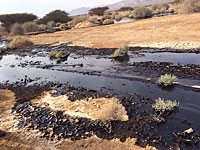 Последствия разлива нефти в Араве