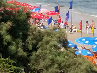 На пляжах можно увидеть лиловые флаги, предупреждающие о присутствии медуз в воде около берега 