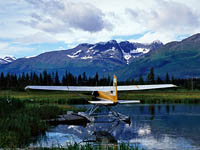 На Аляске разбился экскурсионный самолет, на борту которого находились 9 человек