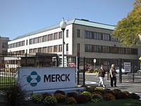 Merck купил стартап у Еврейского университета