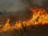 Пожар в районе Маале а-Хамиша: перекрыто шоссе &#8470;425  