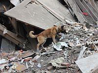 На месте обрушения дома в Перми, 11.07.2015