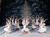 18 июля в Израиле начинаются гастроли спектакля "Спящая красавица" - единственного в мире балета на льду из Санкт-Петербурга