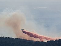 Пожарная авиация борется с лесным пожаром в районе Бейт-Шемеша. 24.07.2015