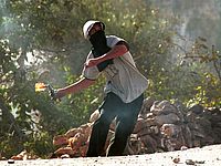 Израильские военные ранили террориста, бросившего бутылку с зажигательной смесью