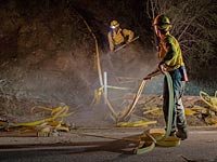     При борьбе с лесными пожарами в США погибли трое сотрудников противопожарной службы