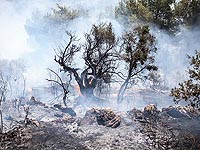 Лесной пожар возле Кирьят-Шмоне: эвакуирован кампус колледжа "Тель-Хай"  