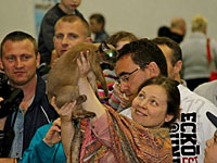 19 сентября (суббота) состоится Большая Международная Выставка Кошек 