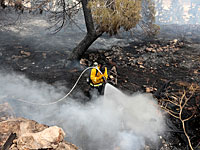 Пожар в районе Иерусалима, спасатели эвакуируют жителей поселка Моца  