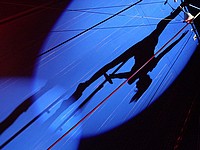 Воздушная гимнастка упала с большой высоты во время представления в московском цирке