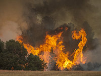 Лесной пожар в Калифорнии. 13 сентября 2015 года