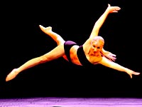 Сочетание балета, принципов "черного театра", игры света и тени, иллюзий, виртуозности и акробатического танца