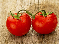 Фермеры бьют тревогу: томаты, завезенные из Иордании, заражены вирусом