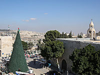 Перед храмом Рождества Христова в Вифлееме установлена гигантская рождественская ель