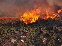   Компенсация владельцам домов и предприятий, пострадавшим от пожара на горе Кармель, составит 54 млн шекелей